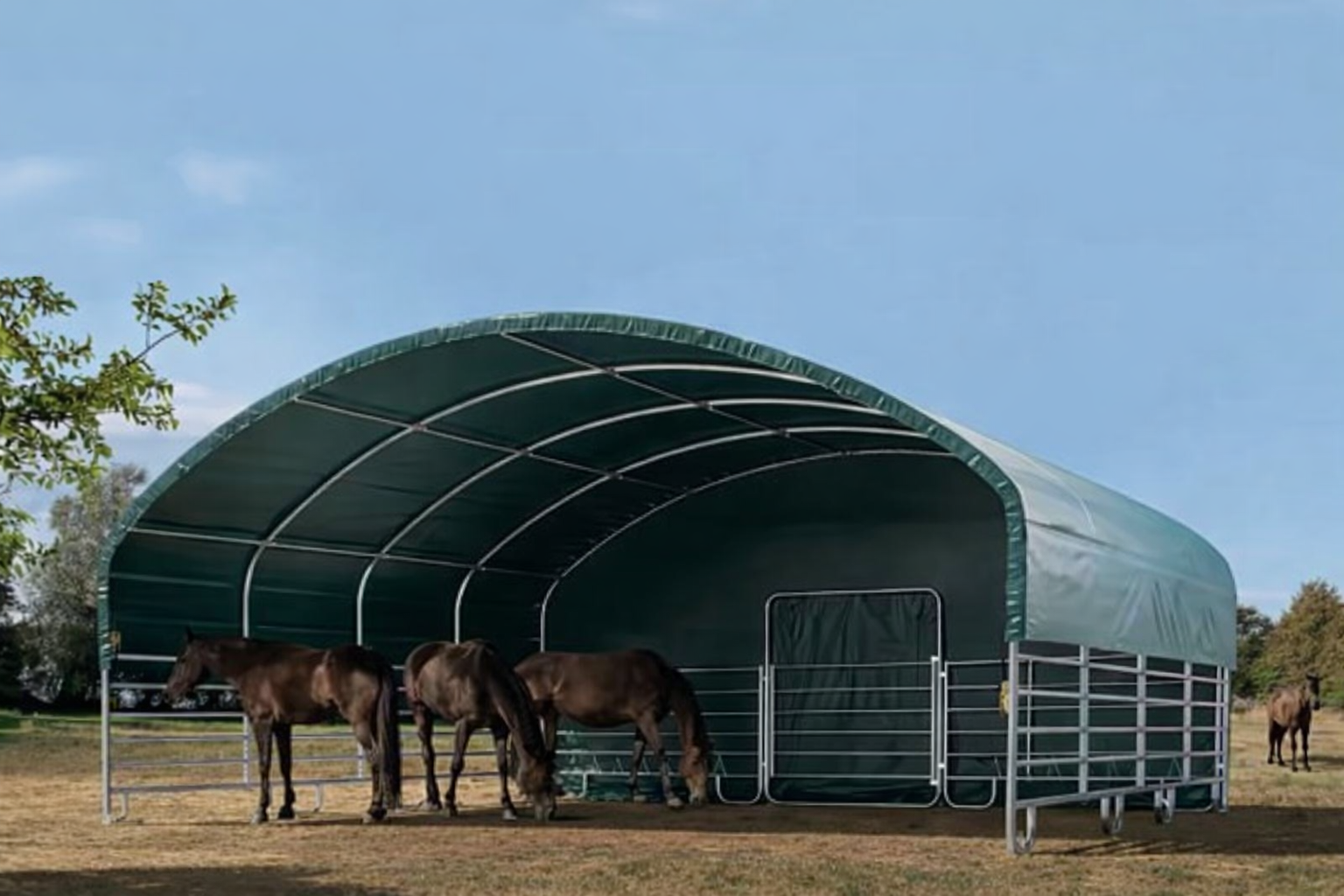 Šator za stoku 8x8m, PVC cerada, tamnozelena, pričvršćivanje za tlo