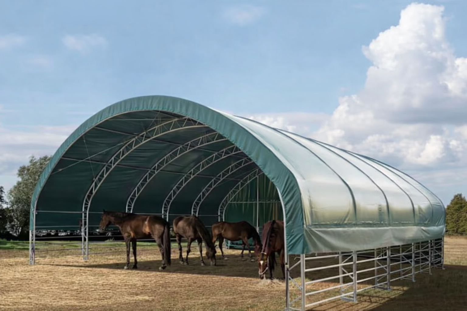 Šator za stoku 10x10m, PVC cerada, tamnozelena, pričvršćivanje za tlo